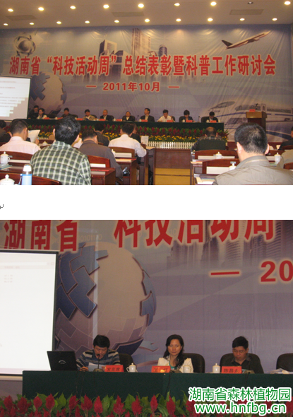 AG旗舰厅(中国游)官方网站