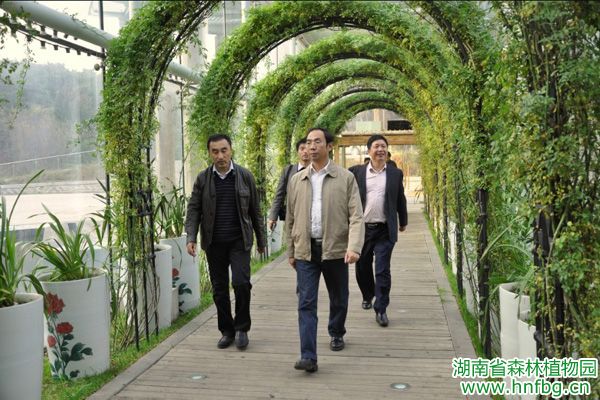 AG旗舰厅(中国游)官方网站