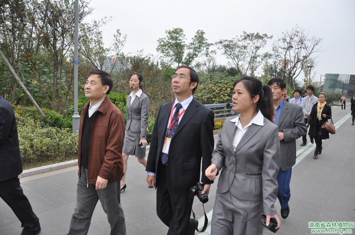 AG旗舰厅(中国游)官方网站