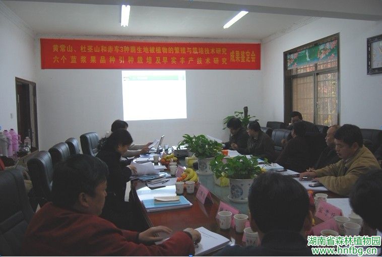 AG旗舰厅(中国游)官方网站