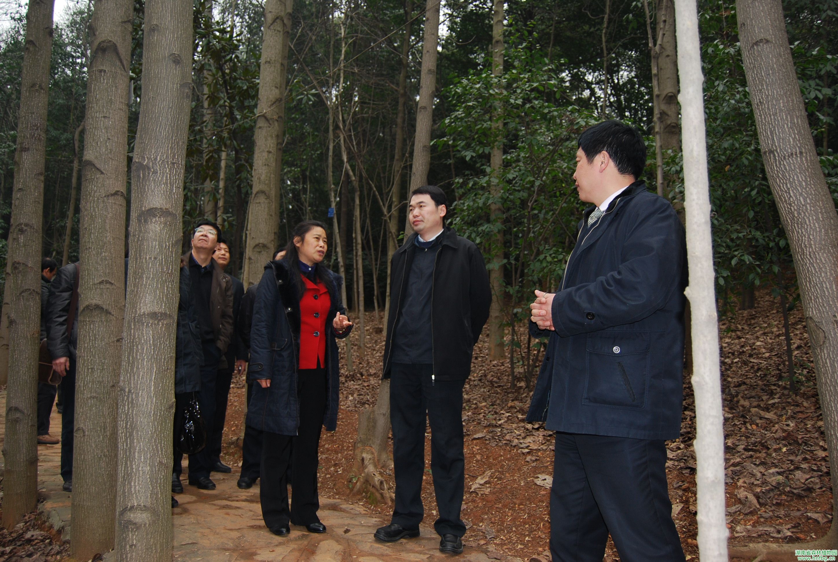 AG旗舰厅(中国游)官方网站