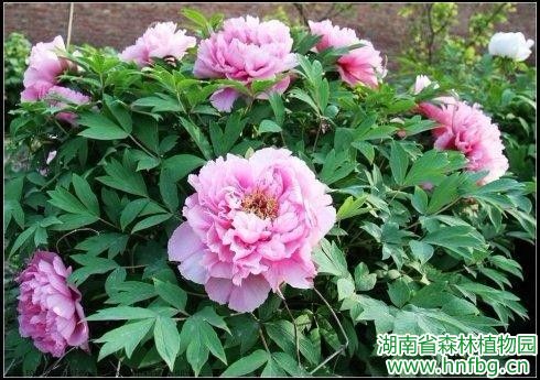 AG旗舰厅(中国游)官方网站