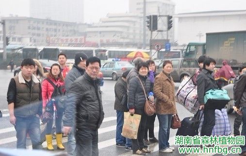 AG旗舰厅(中国游)官方网站