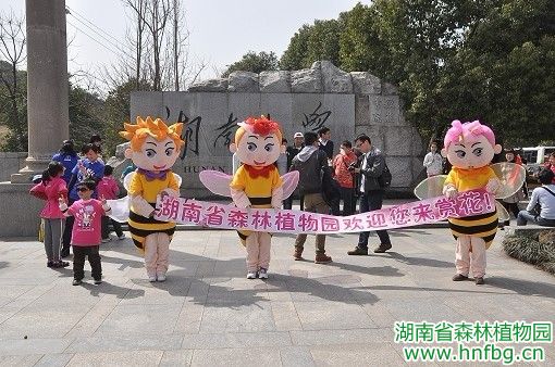 AG旗舰厅(中国游)官方网站