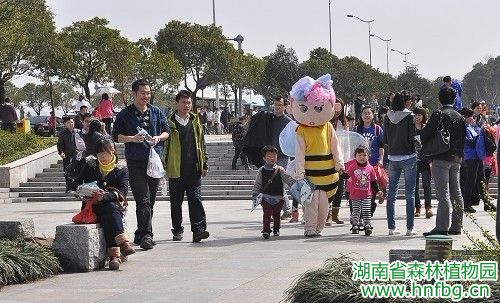 AG旗舰厅(中国游)官方网站