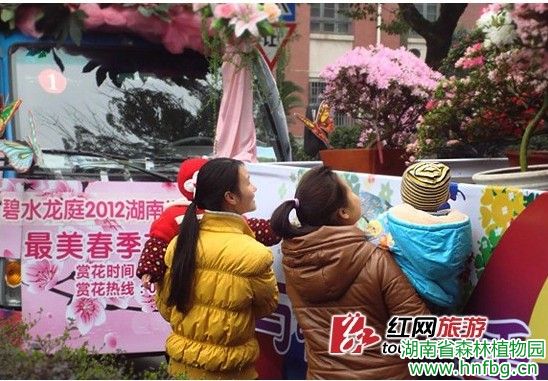 AG旗舰厅(中国游)官方网站