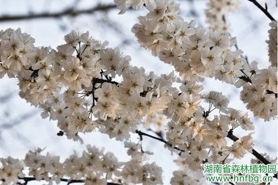 AG旗舰厅(中国游)官方网站