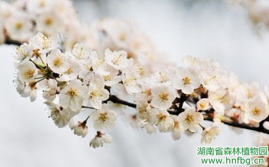 AG旗舰厅(中国游)官方网站