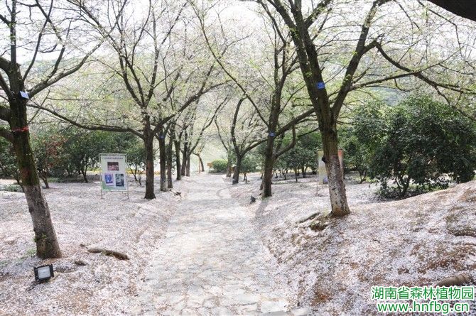 AG旗舰厅(中国游)官方网站