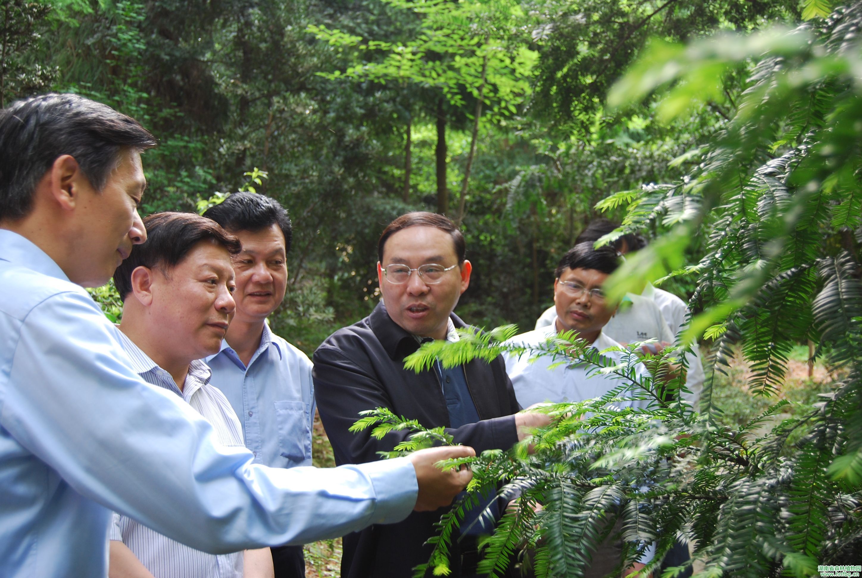 AG旗舰厅(中国游)官方网站