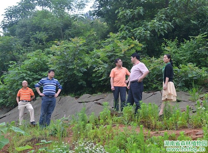 AG旗舰厅(中国游)官方网站