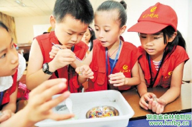 AG旗舰厅(中国游)官方网站
