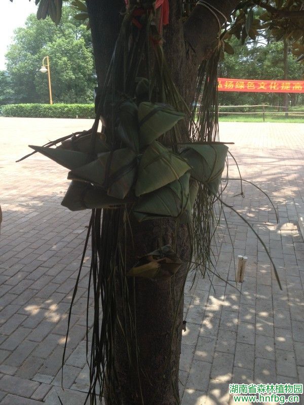 AG旗舰厅(中国游)官方网站