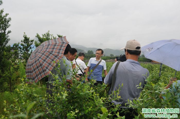 AG旗舰厅(中国游)官方网站