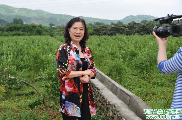 AG旗舰厅(中国游)官方网站