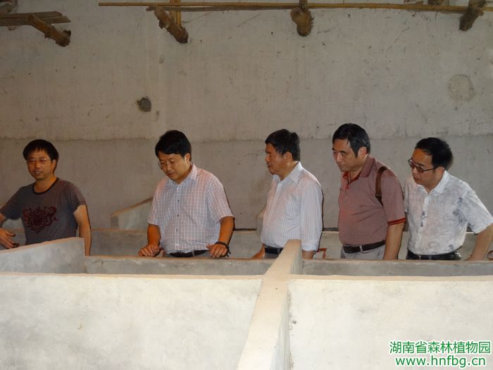 AG旗舰厅(中国游)官方网站