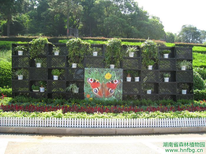 AG旗舰厅(中国游)官方网站