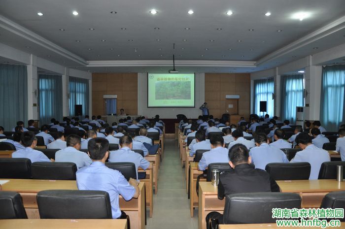 AG旗舰厅(中国游)官方网站