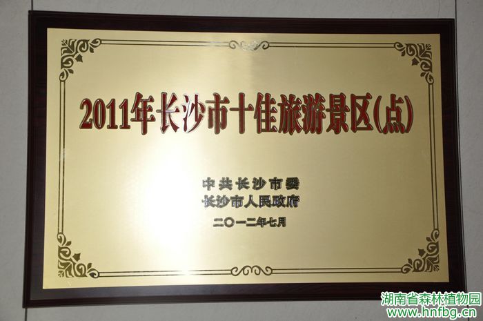 AG旗舰厅(中国游)官方网站