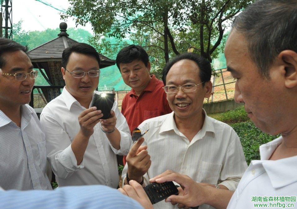 AG旗舰厅(中国游)官方网站