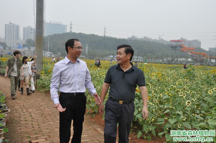 AG旗舰厅(中国游)官方网站