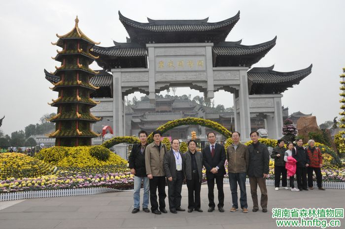 AG旗舰厅(中国游)官方网站