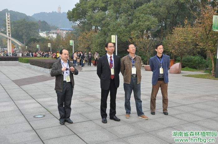 AG旗舰厅(中国游)官方网站