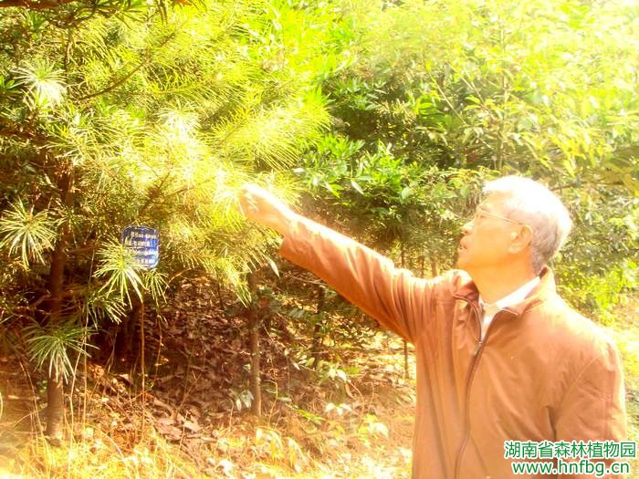 AG旗舰厅(中国游)官方网站