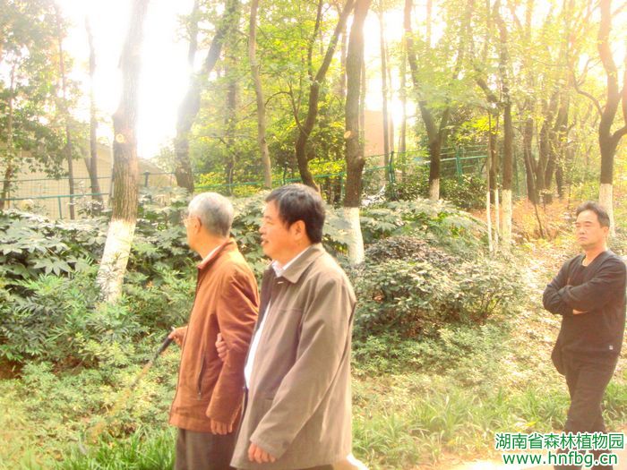 AG旗舰厅(中国游)官方网站