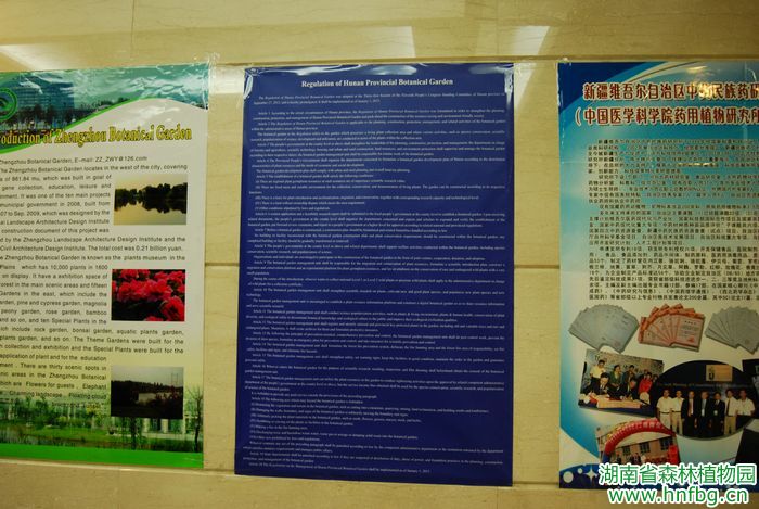 AG旗舰厅(中国游)官方网站