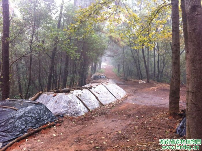 AG旗舰厅(中国游)官方网站