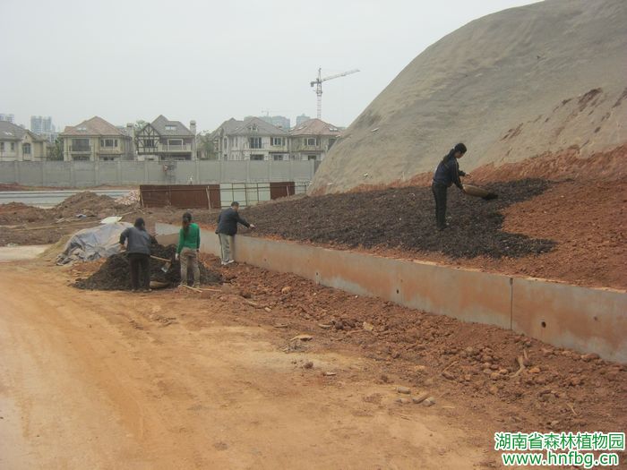 AG旗舰厅(中国游)官方网站