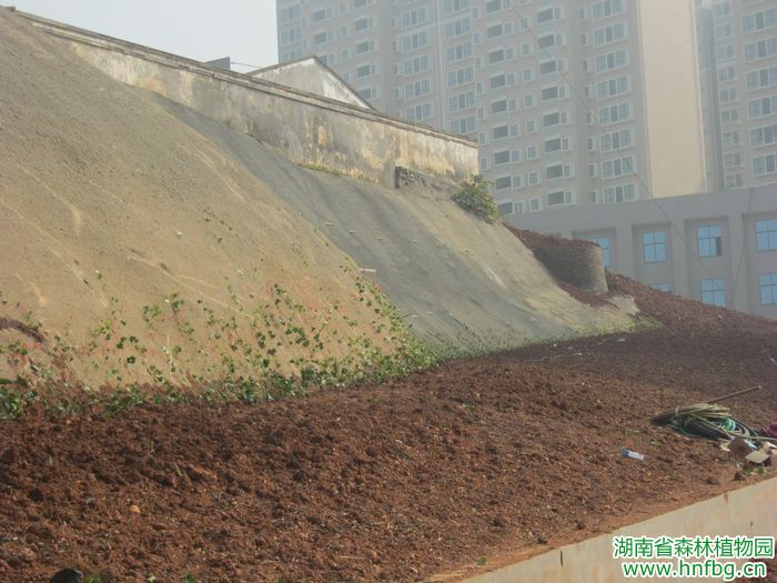 AG旗舰厅(中国游)官方网站