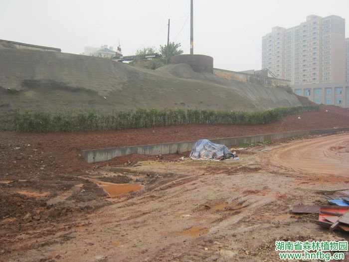 AG旗舰厅(中国游)官方网站