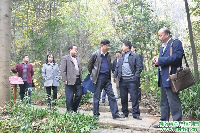 AG旗舰厅(中国游)官方网站