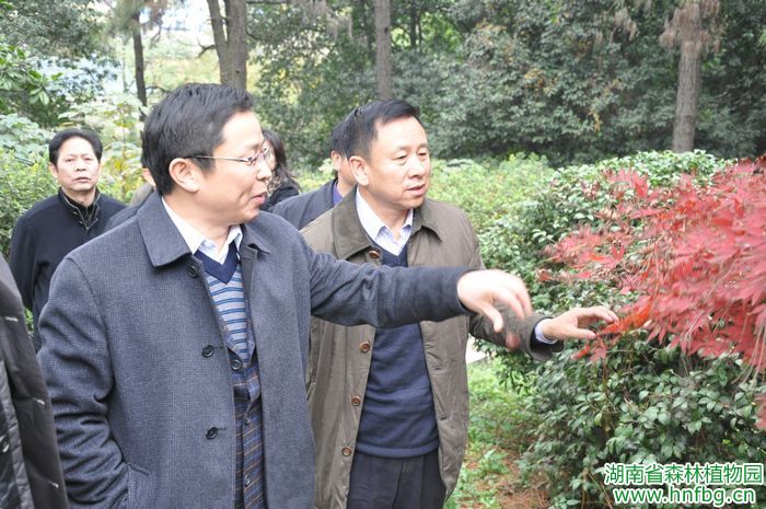 AG旗舰厅(中国游)官方网站