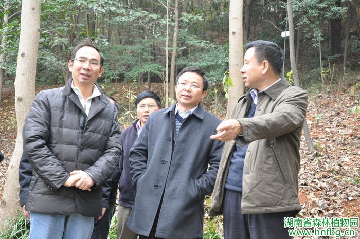 AG旗舰厅(中国游)官方网站