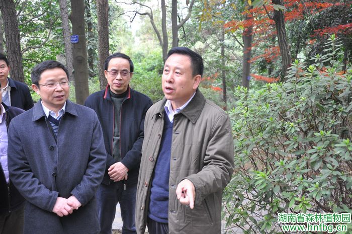 AG旗舰厅(中国游)官方网站