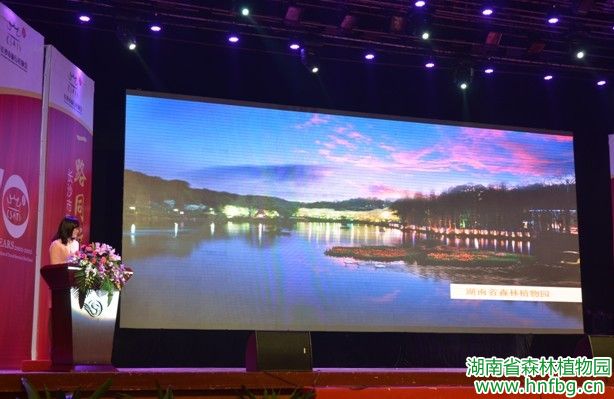AG旗舰厅(中国游)官方网站