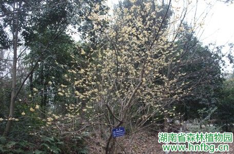 AG旗舰厅(中国游)官方网站