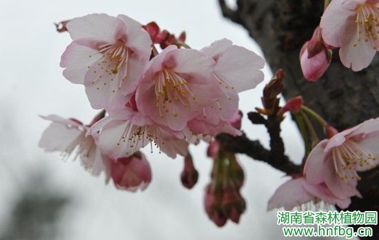 AG旗舰厅(中国游)官方网站