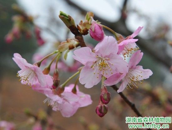 AG旗舰厅(中国游)官方网站