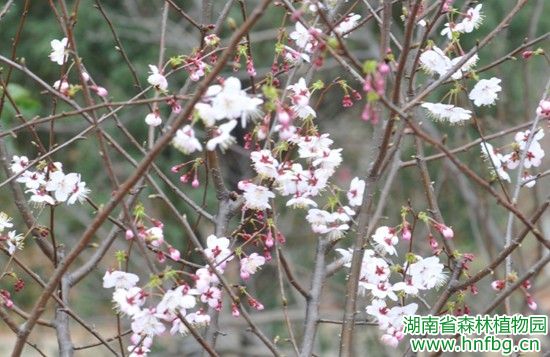AG旗舰厅(中国游)官方网站