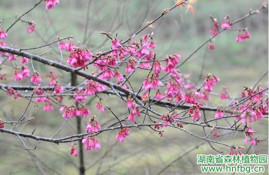 AG旗舰厅(中国游)官方网站