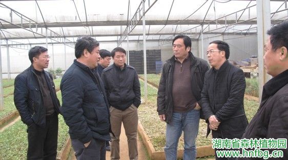 AG旗舰厅(中国游)官方网站