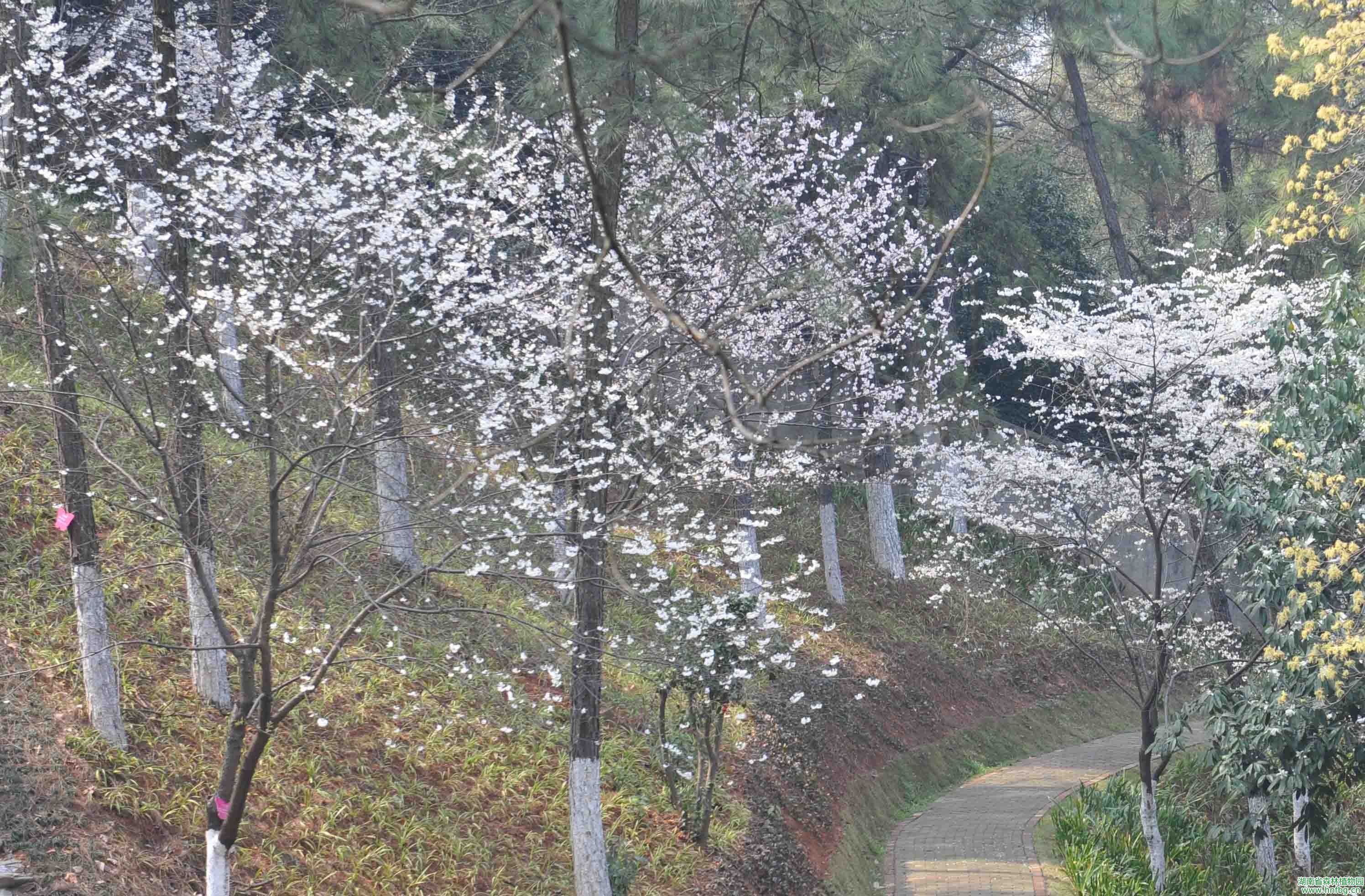 AG旗舰厅(中国游)官方网站