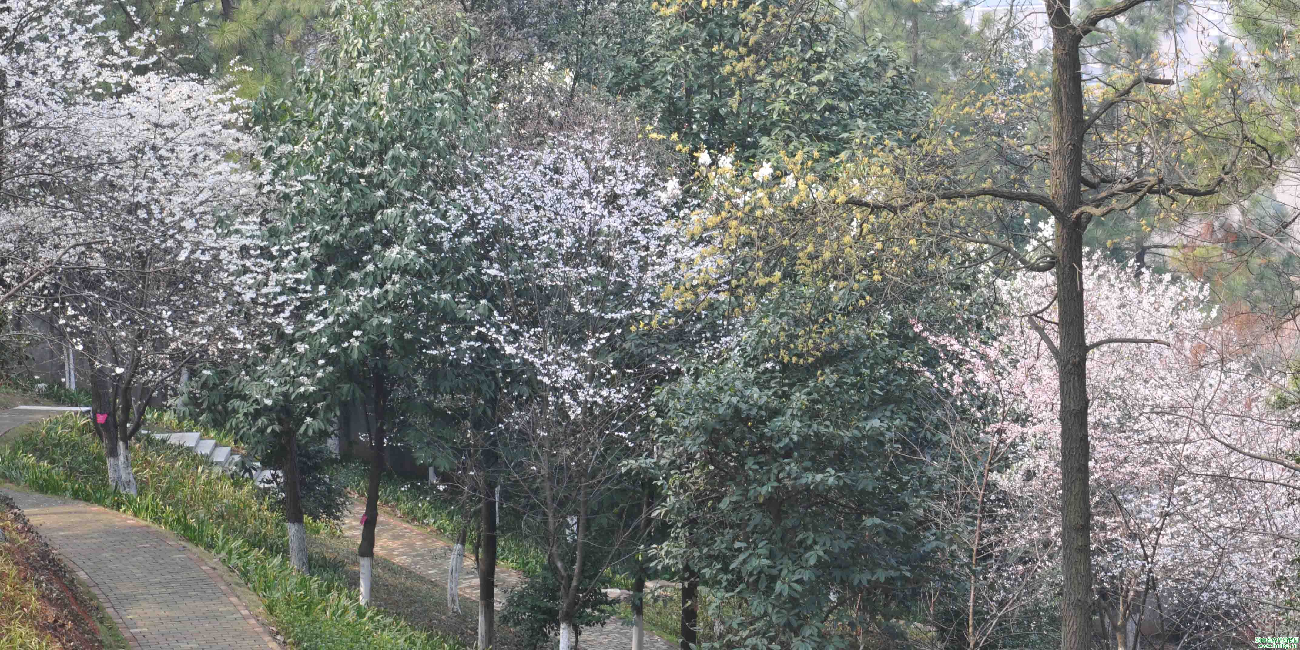 AG旗舰厅(中国游)官方网站