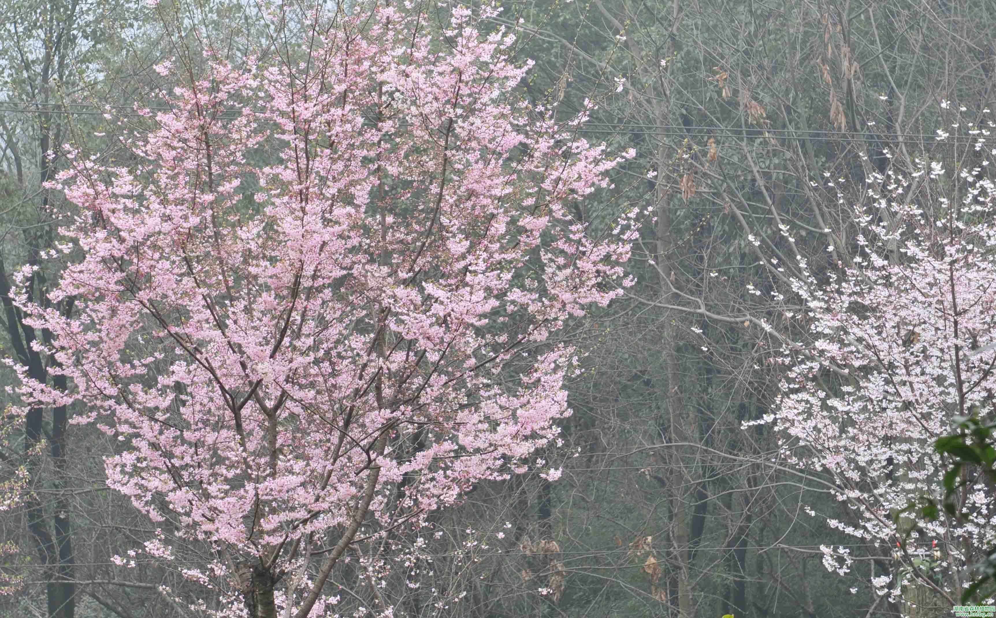 AG旗舰厅(中国游)官方网站