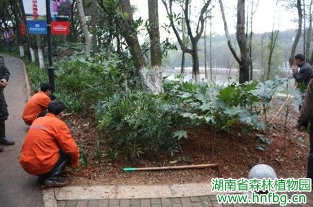 AG旗舰厅(中国游)官方网站