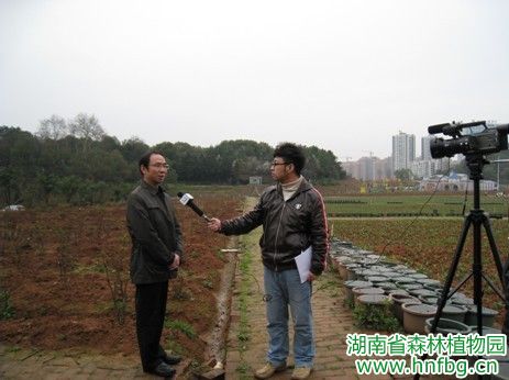 AG旗舰厅(中国游)官方网站